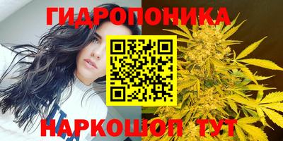 альфа пвп Можга