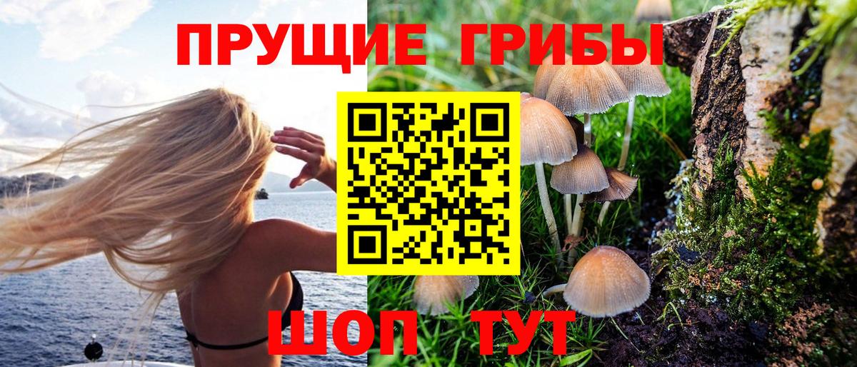 Воткинск  Галлюциногенные грибы GOLDEN TEACHER  Вход с VPN  Псилоцибиновые грибы Cubensis 